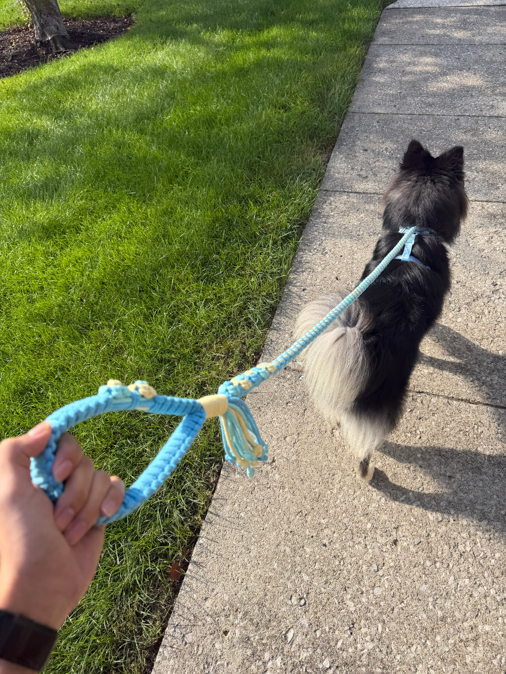 Hand-Braided Rope Dog Leash