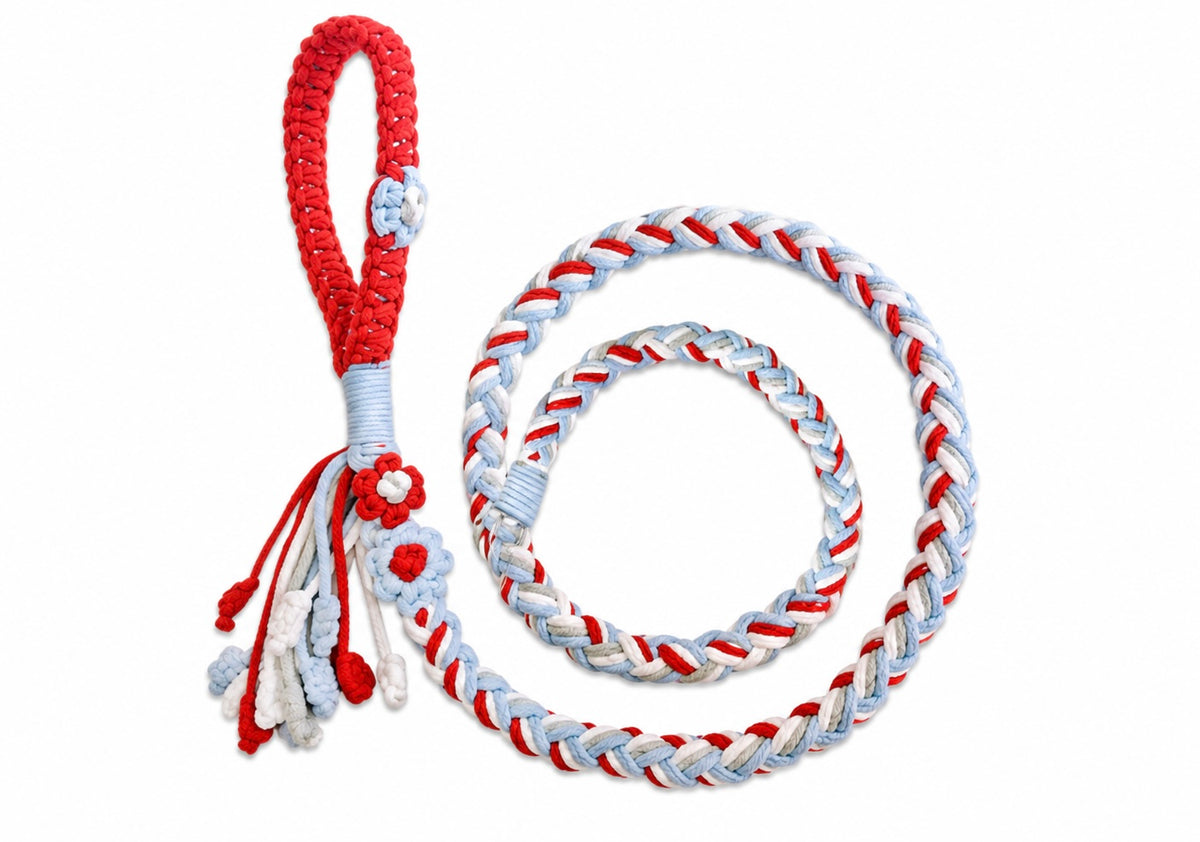 Hand-Braided Rope Dog Leash